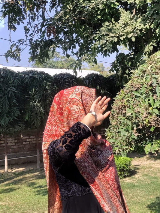 Pashmina Jamawar Hijabs