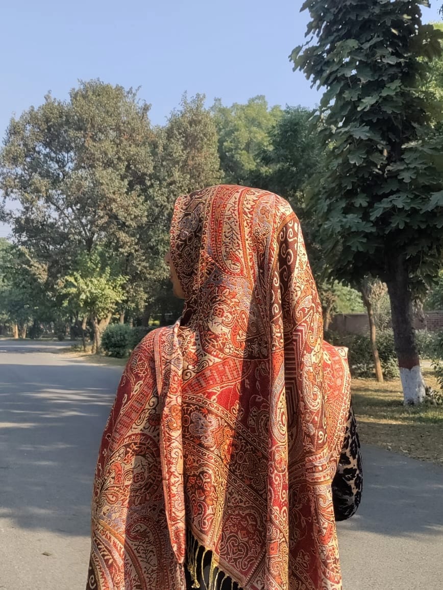 Pashmina Jamawar Hijabs
