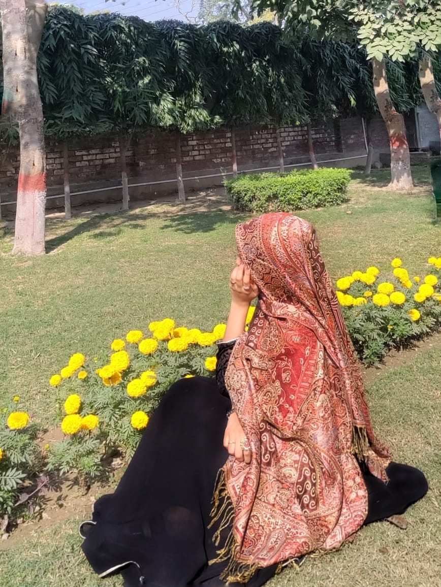 Pashmina Jamawar Hijabs