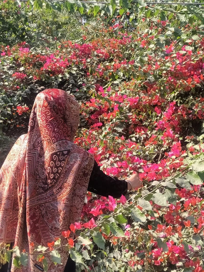 Pashmina Jamawar Hijabs