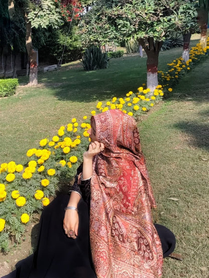 Pashmina Jamawar Hijabs